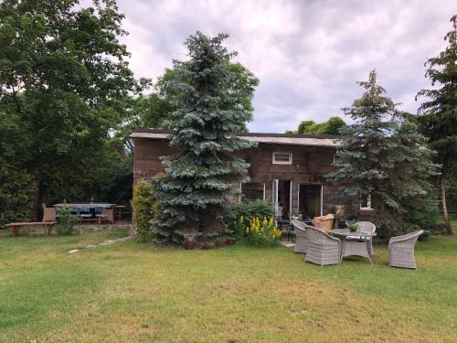 Orlinki House | Domek całoroczny blisko lasu i morza na urokliwej działce 4300 m2