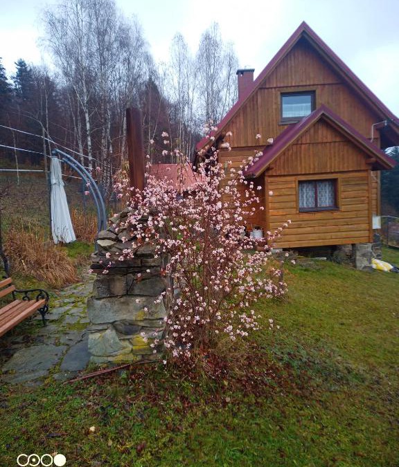 Milowka House | Domek na Zabawie