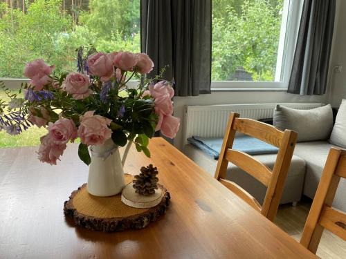 Przechlewo House | Domek w ogrodzie przy lesie i jeziorze GiNTEROWO