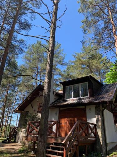 Ocypel House | Domek wypoczynkowy w lesie nad jeziorem
