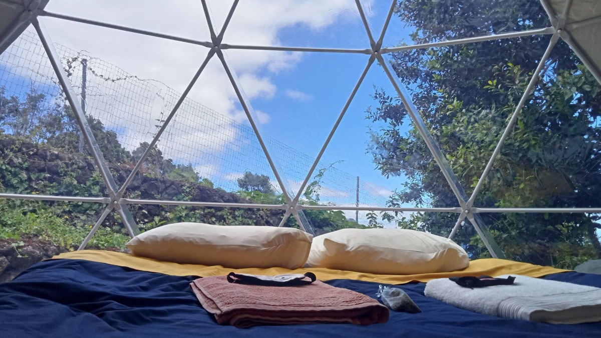 Angra do Heroismo House | Domes Criptoméria - Angra do Heroísmo - Azores