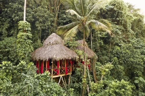 Samana Resort | Dominican Tree House Village