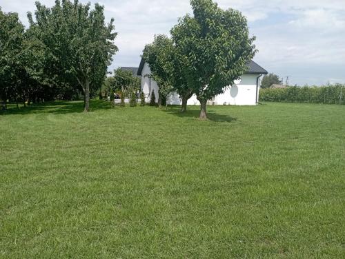 gmina Cmielow House | Domki w Winnicy - Świętokrzyska Winnica Knapów