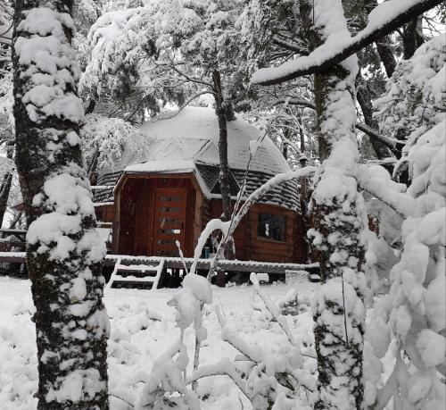 Malalcahuello Cabin | Domos Entre Bosques