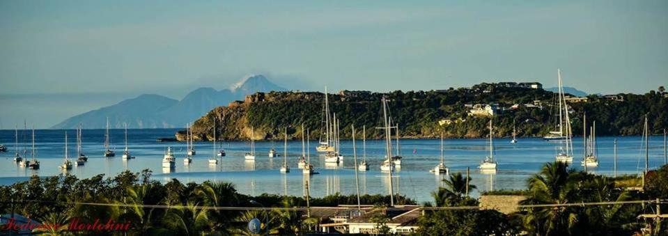 Cobbs Cross Apartment | Donkey on the Beach