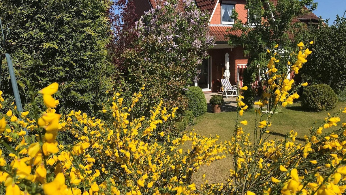 Moelln Apartment | Doppelzimmer mit Dusche, WC 2 - Haus Hortensie