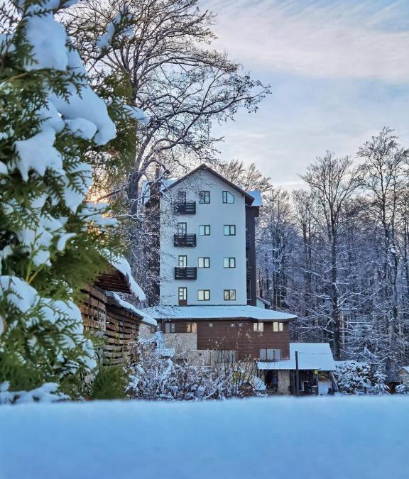 Lupeni House | Dor de Munte Straja