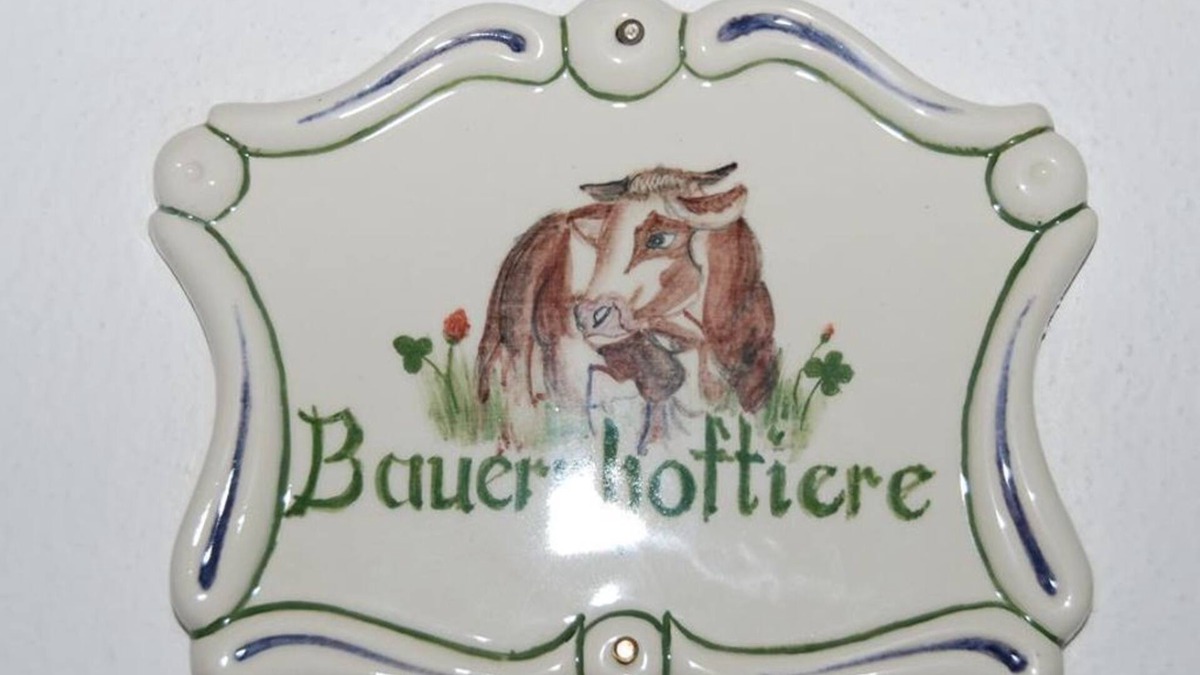 Vorderstoder Other | Double room "farm animals" with bath/WC - Ferienhof Zamsegg