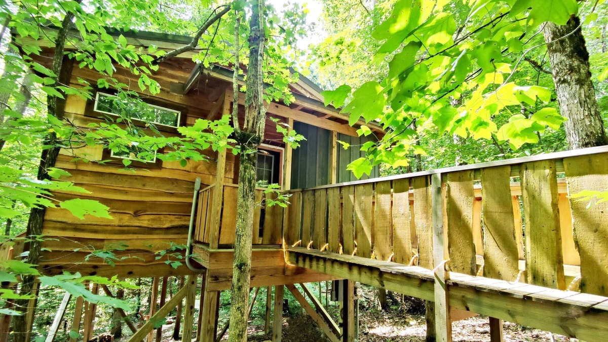 Monteagle Cabin | Dove Treehouse: Treetop Bliss on Monteagle