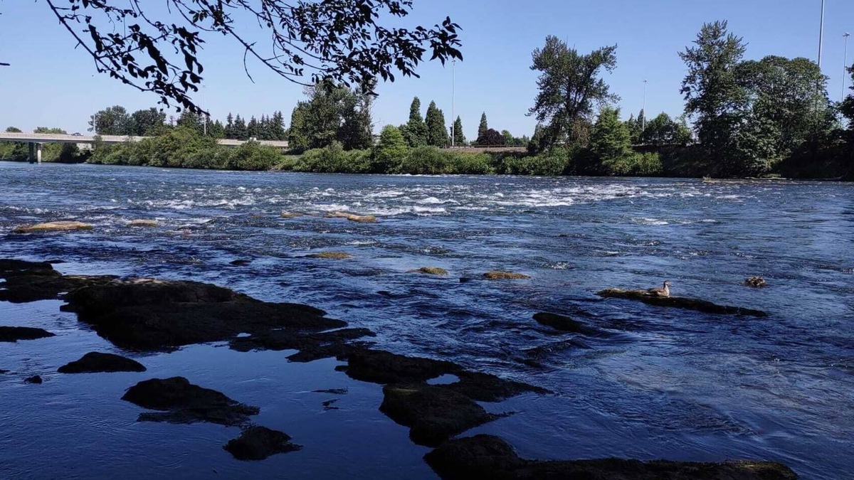 West Eugene Apartment | Downtown lodging w/wi-fi & Self Check-in