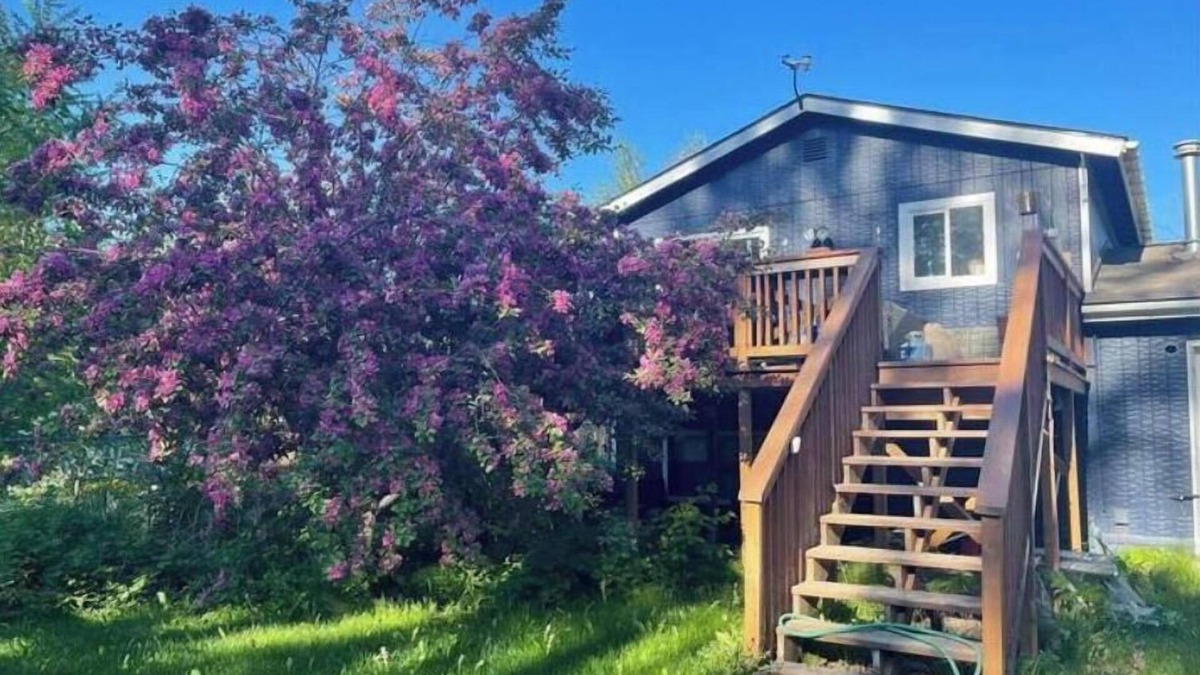 Palmer House | Downtown Palmer Basecamp for all your Alaskan Adventures