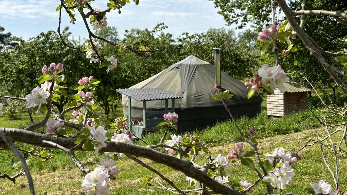 Ledbury Other | Dragon Orchard Retreat