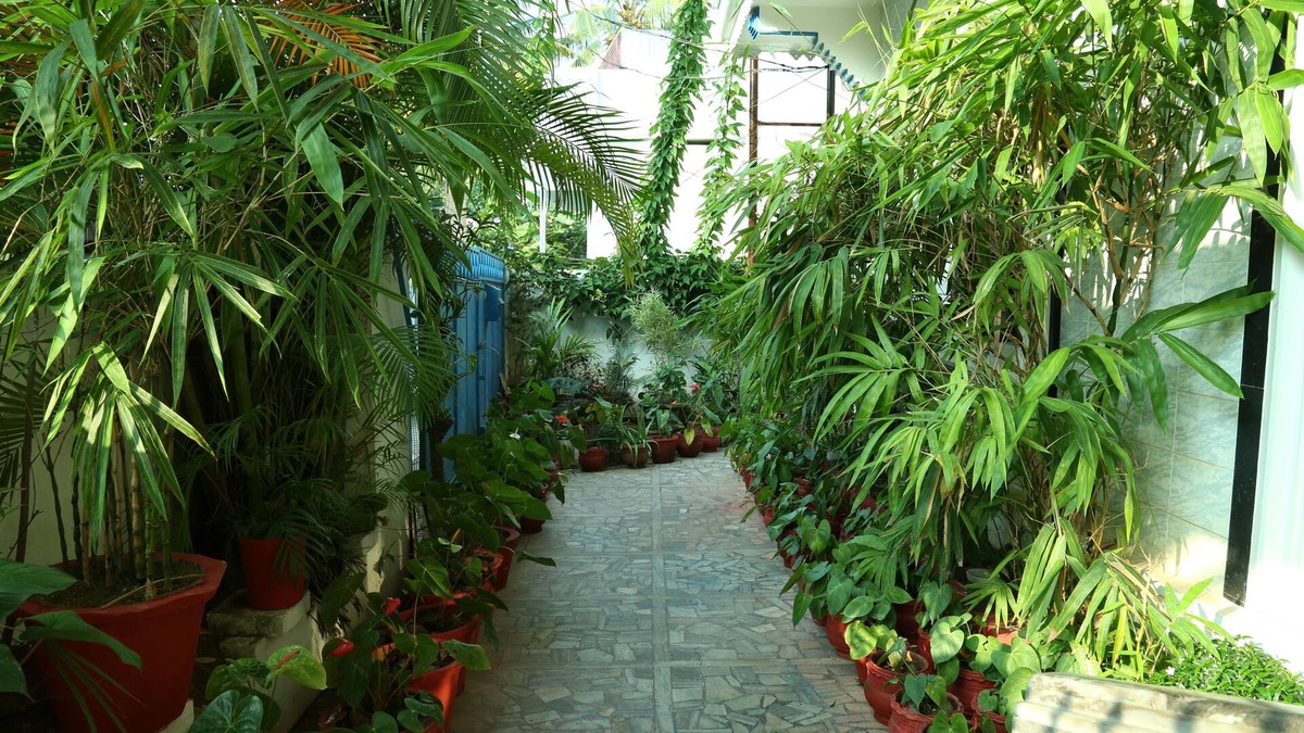 Fort Kochi Hotel | Dream Catcher Home Stay