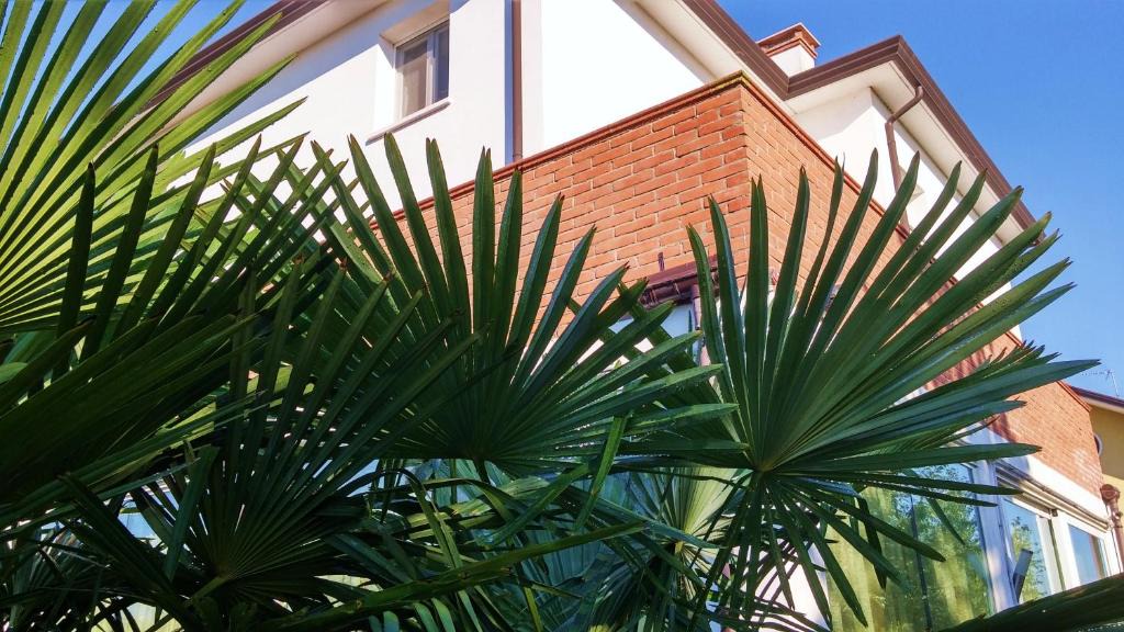 Dese House | Dream