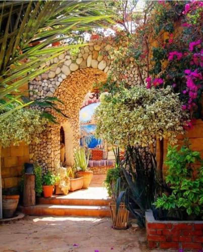 Siwa Hotel | Dream Lodge Siwa دريم لودج سيوة