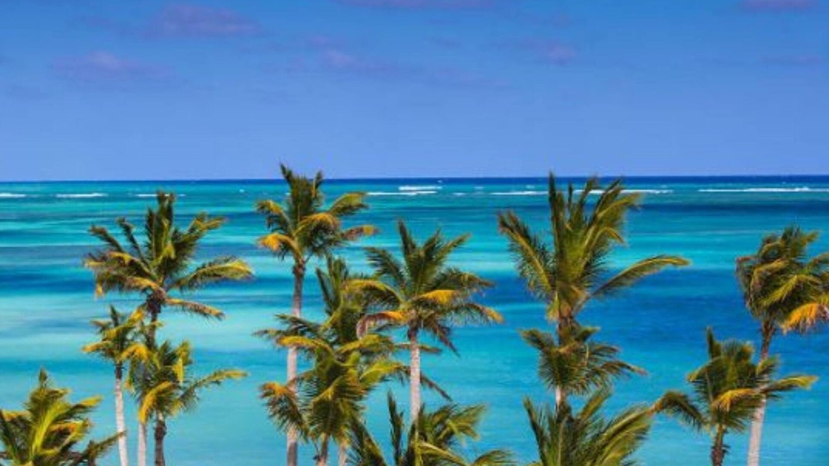 Cap Cana Marina Apartment | Dream Ocean View at Premium 2 Bedroom Condo with Jacuzzi!