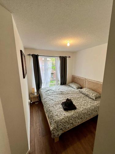 Junction Triangle House | DT Townhome 1BR steps to transit