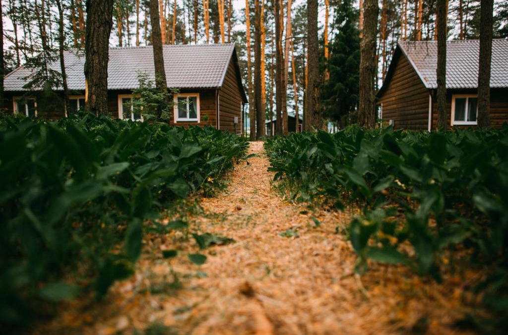 Vitebsk Region Ski Chalet | Duck Lake
