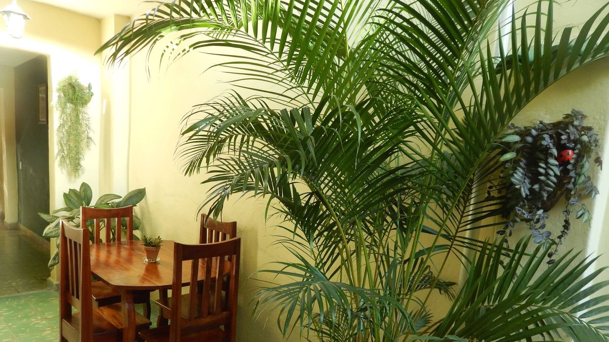 Santa Clara House | Dulce Paz
