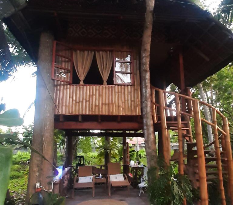 Dumaguete House | Dumaguete Oasis Treehouse, near airport and mall