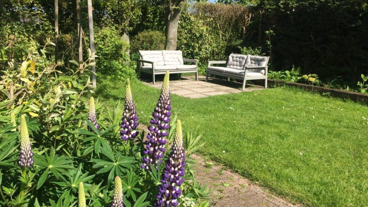 Egmond-Binnen House | Dune house directly near beautiful nature, beach and sea, 4 person 2-bedrooms