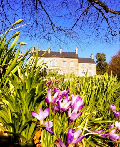Carrigans Bed & Breakfast | Dunmore Gardens