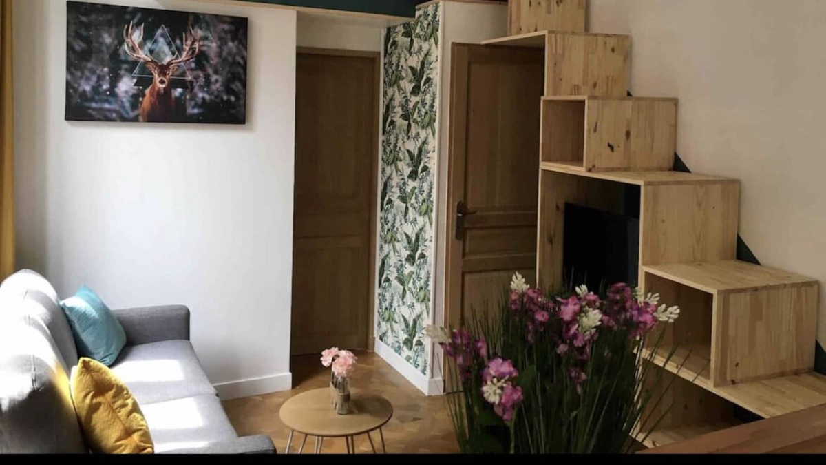 Besancon Old Town Apartment | Duplex Victor Hugo