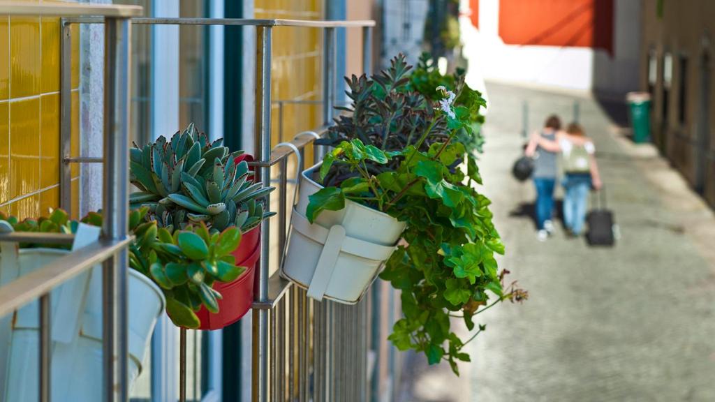 Sacramento Apartment | Duque´s Apartments