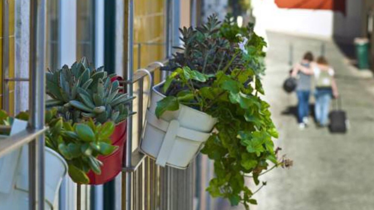 Sacramento Apartment | Duque's Apartments - Rossio 19083/AL