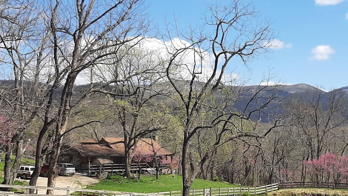 Elkton Cabin | Eagle Log Cabin at Mountaintop Ranch bordering Shenandoah National Park