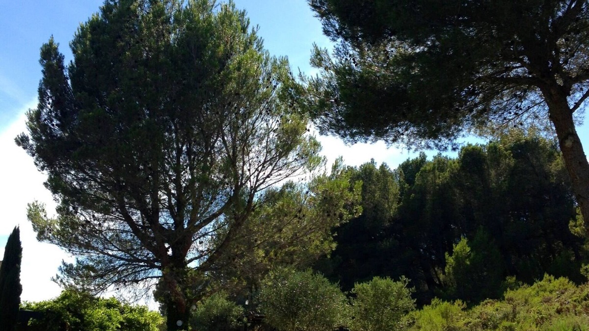 Paradou Other | East Wing Of Provence Farmhouse, Paradou near St Remy de Provence