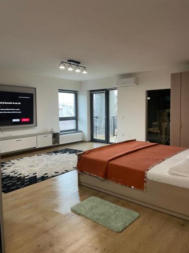 Tirgu Mures Apartment | Eben ezer concept