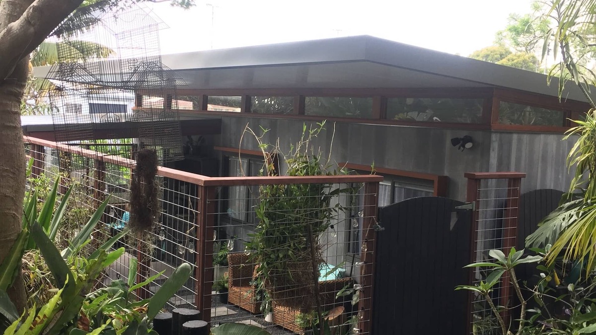 Dee Why House | Eclectic bungalow set in under the Japanese Oak but close enough to the ocean.