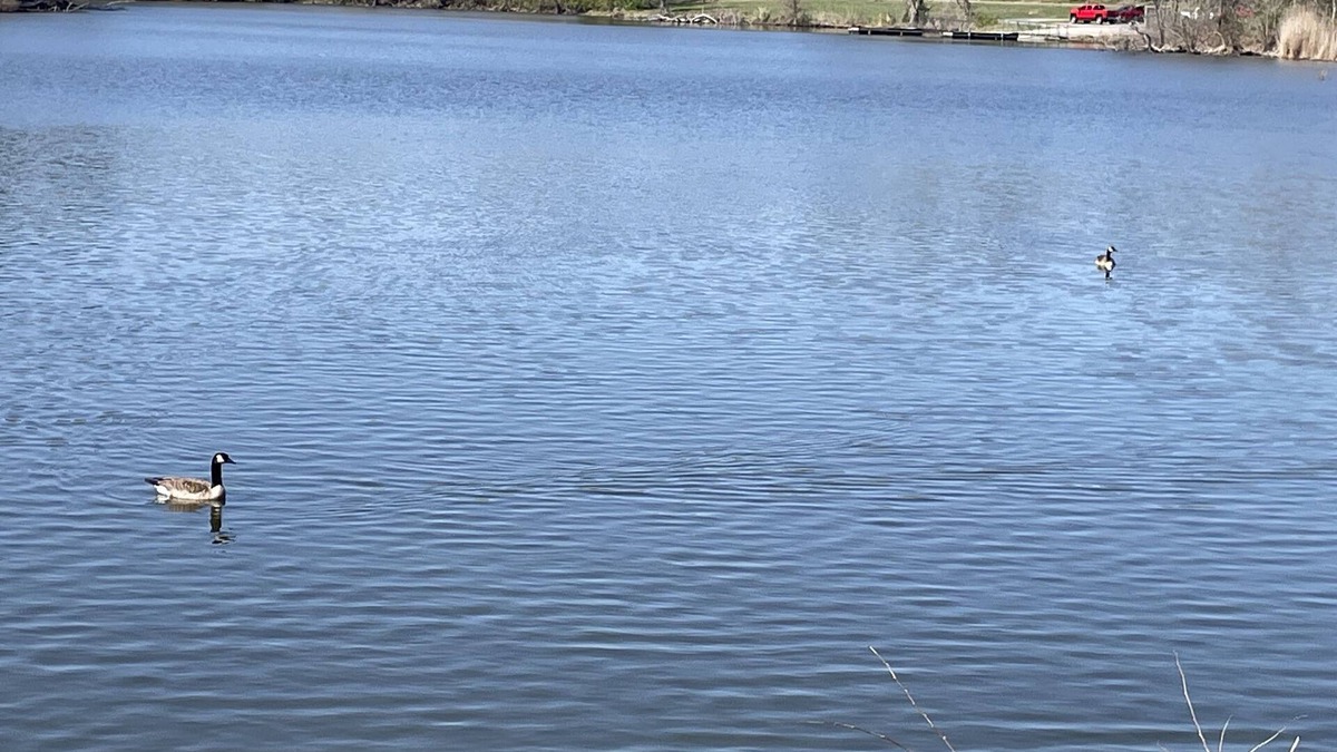 Carbondale RV Rental | Eclipse Campsites Available. Waterfront views