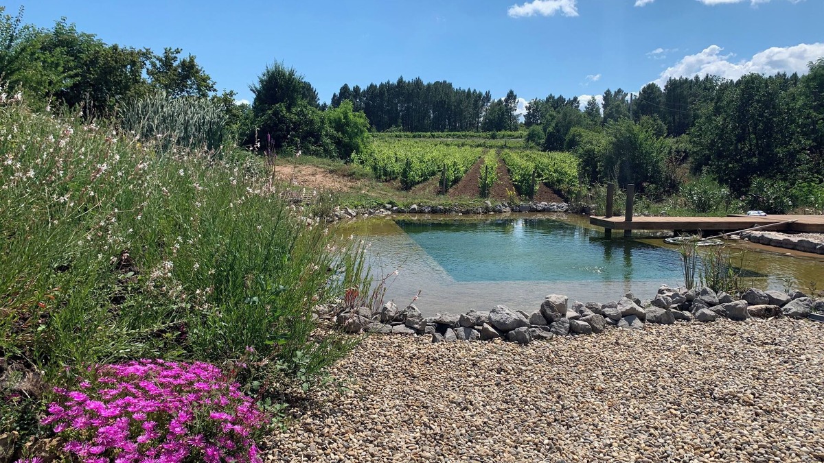 Rosieres Cottage | ECO GITE 3 stars 2/3pers AU COEUR DES VIGNES