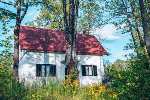 Savnik House | Eco House Nevidio