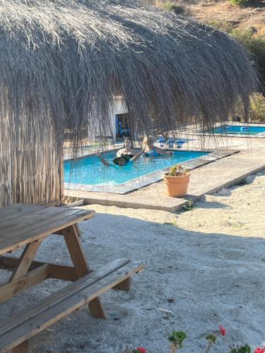 Coquimbo Bed & Breakfast | Eco Lodge Lorotuerto