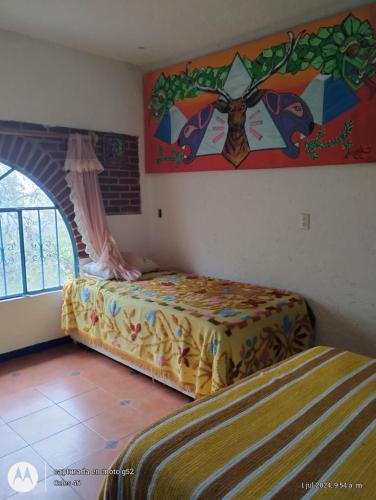 Tepoztlan Other | Eco Rooms Pablo's