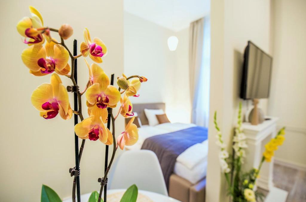 Gyor House | Eden Center Home