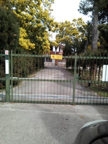Colonia Elena House | Edvige'S House