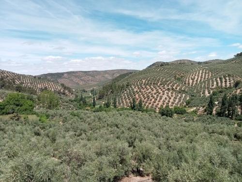 Prados de Armijo Apartment | El Almendro de la Tia Teresa