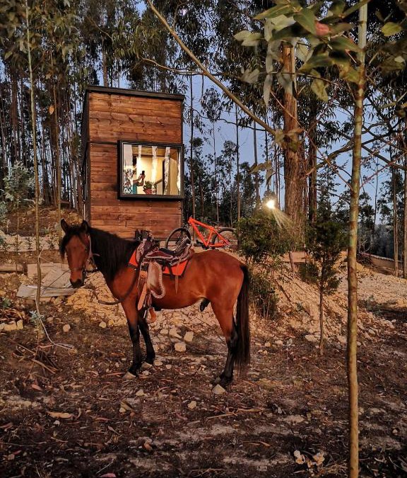 Paipa Other | El Bosque de Paipa