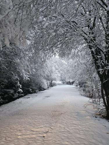 San Martin del Pimpollar House | El Cerrillo II