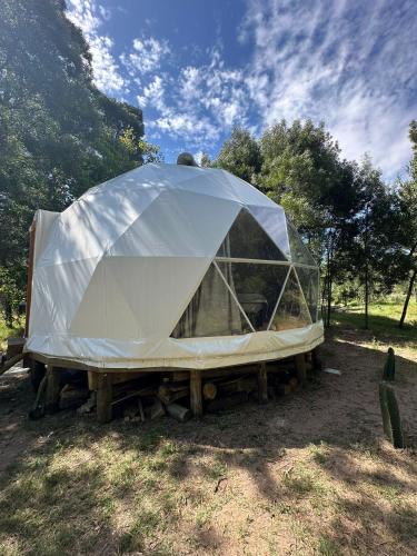 Maldonado House | El Domo del ALF La Paz entre el bosque y el mar II