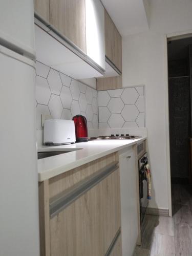 Province of Tierra del Fuego Apartment | El Michay