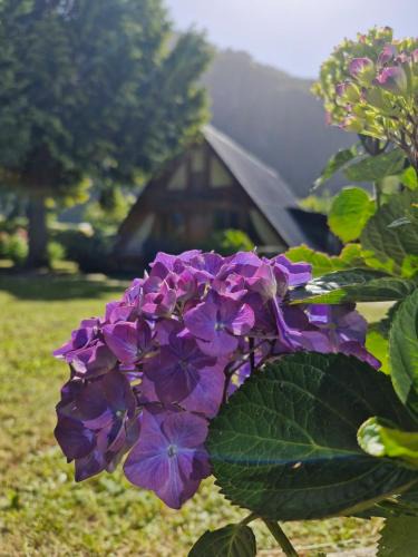 Llifen House | El rincon del lago