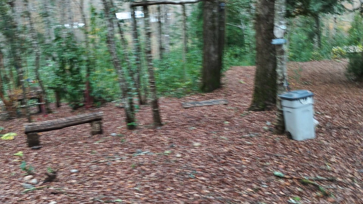 Pucon Cabin | El roble cabins