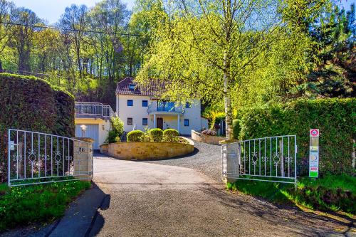 Pirna Villa | Elbvilla Pirna mit Sauna und Kamin mit privatem Zugang zur Elbe