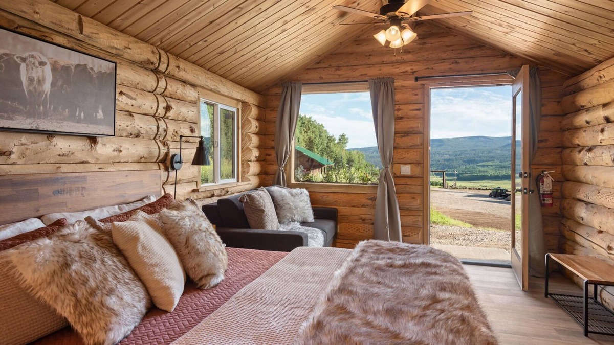 Paonia Cabin | Electric Mountain Lodge: Remodeled/Views/Restaurant/Bar/Events/Snowmobiles | 4