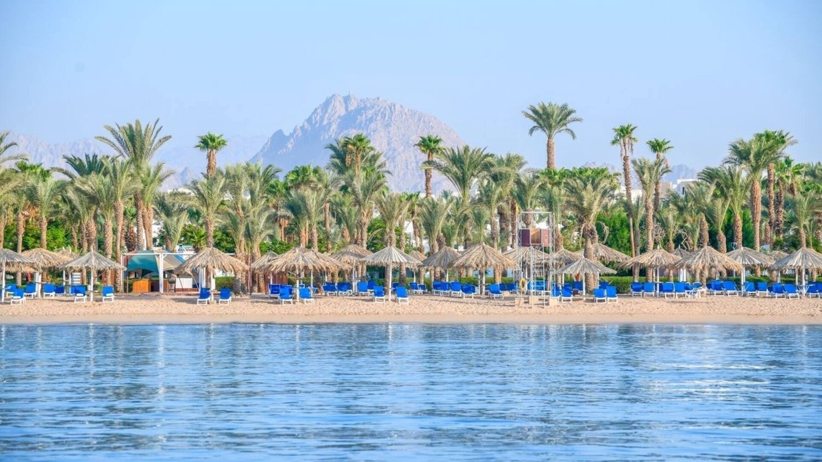 Sharm El Sheikh Resort | Elegant Escape with Multiple Pools, Spa, Swim-Up Bars & Beach Access
